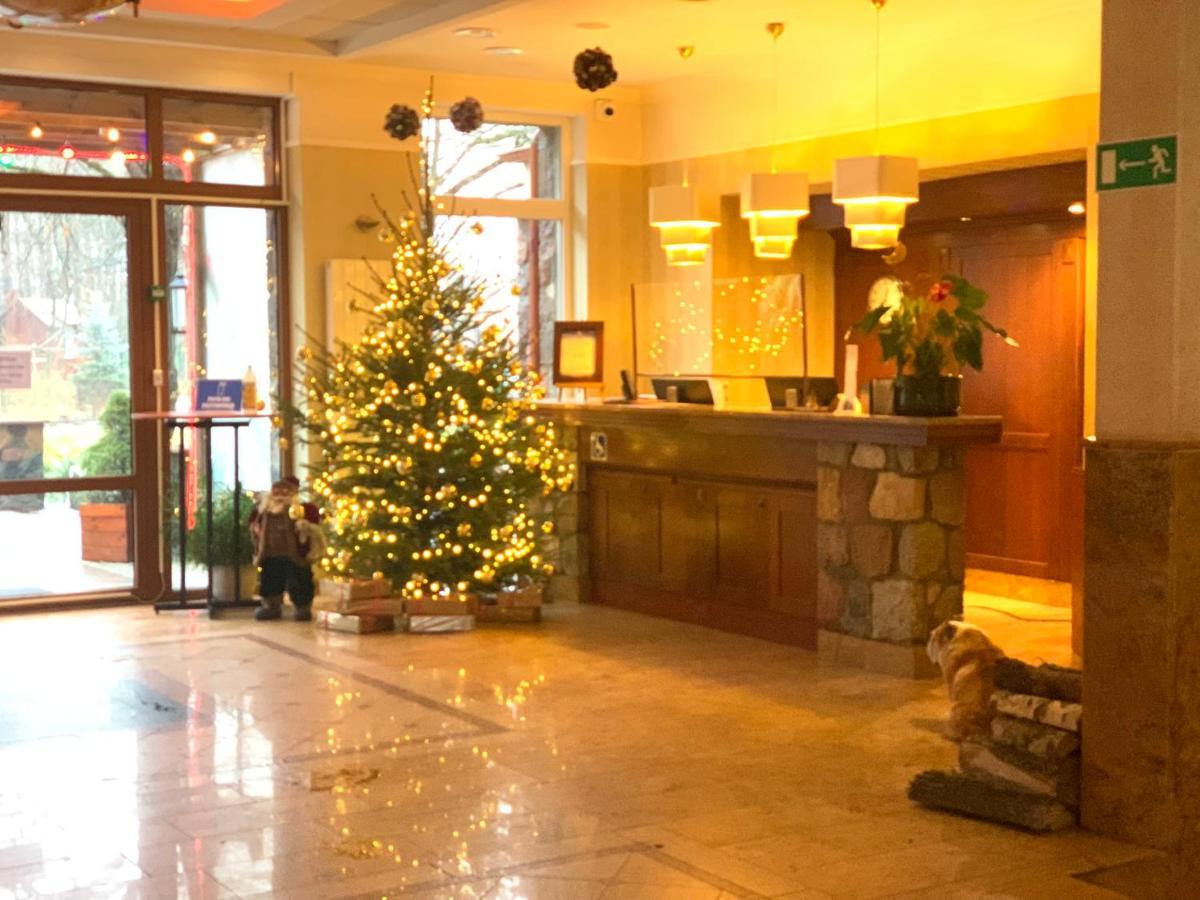 Hotel Albatros Serwy エクステリア 写真